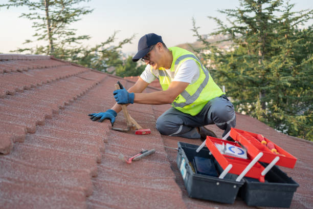 Best Roof Gutter Cleaning  in North Hornell, NY